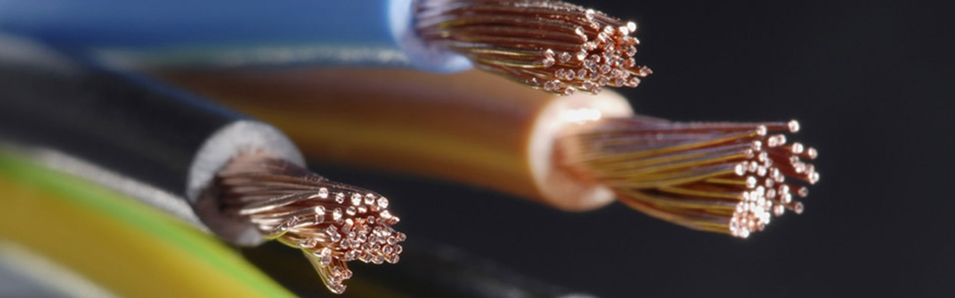 banner3